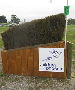 Children of Phoenix