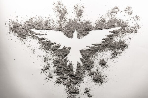 Phoenix,Drawing,Made,In,Ash,On,A,White,Background